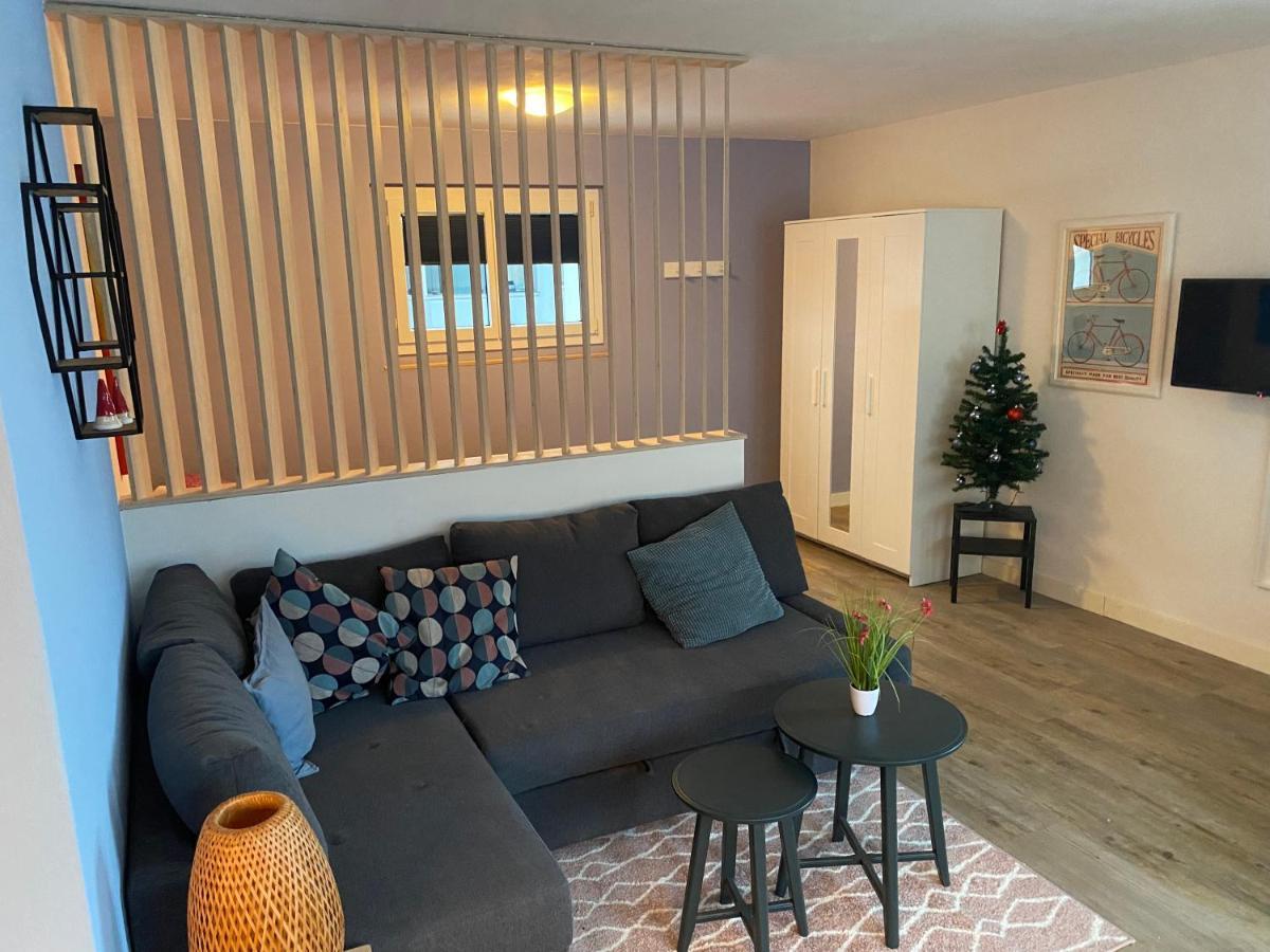 Spring Inn Apartments マイリンゲン エクステリア 写真