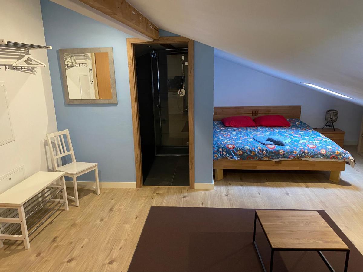 Spring Inn Apartments マイリンゲン エクステリア 写真