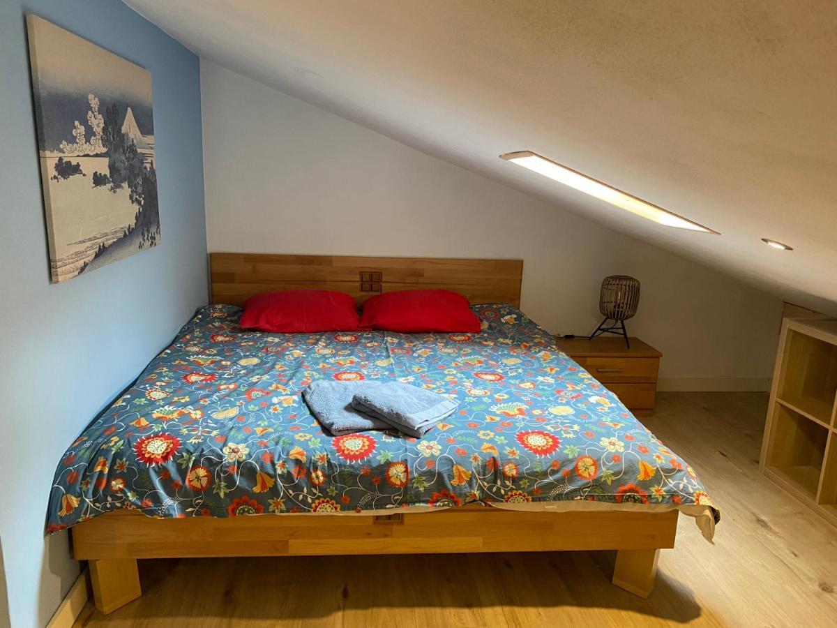 Spring Inn Apartments マイリンゲン エクステリア 写真